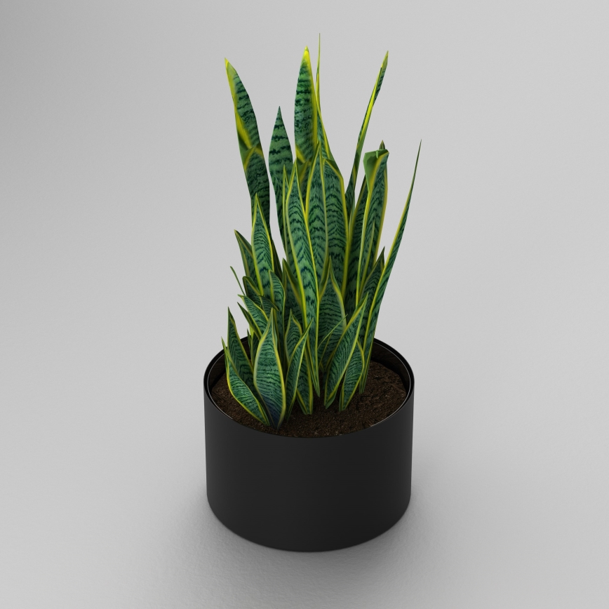 Kukkaruukku 11x17 cm musta