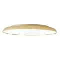 Kultainen LED-kattovalaisin ART LED/40W/230V