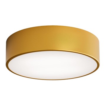 Kylpyhuoneen kattovalaisin CLEO anturilla 2xE27/24W/230V, halkaisija 30 cm, kultainen, IP54