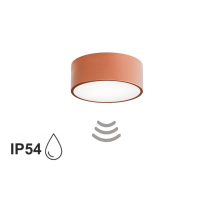 Kylpyhuoneen kattovalaisin CLEO tunnistimella 1xE27/24W/230V, halkaisija 20 cm, IP54, kuparinvärinen