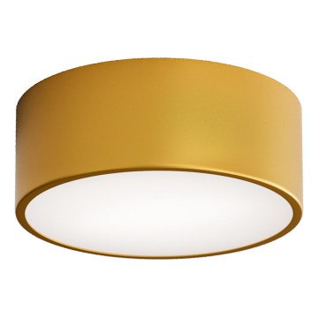 Kylpyhuoneen kattovalaisin CLEO tunnistimella 1xE27/24W/230V Ø 20 cm IP54, kullanvärinen