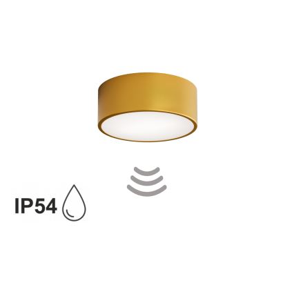 Kylpyhuoneen kattovalaisin CLEO tunnistimella 1xE27/24W/230V Ø 20 cm IP54, kullanvärinen