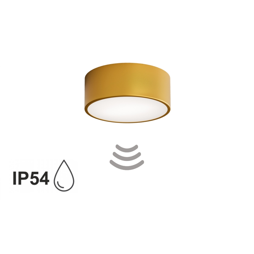 Kylpyhuoneen kattovalaisin CLEO tunnistimella 1xE27/24W/230V Ø 20 cm IP54, kullanvärinen
