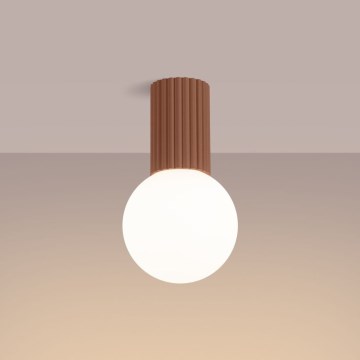 Kylpyhuoneen kattovalaisin HALO 1xG9/8W/230V halkaisija 12 cm IP44 ruskea