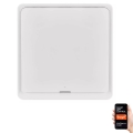 Kytkin 1-painike GoSmart 1xCR2430 Tuya valkoinen