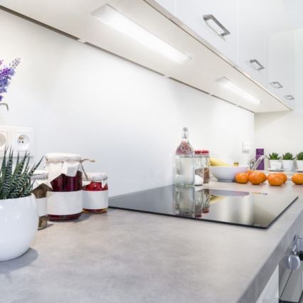 LED alakaappivalaisin VIGA LED/20W/230V 4000K valkoinen