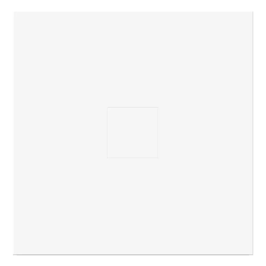 LED alaslaskupaneeli DIXXO LED/36W/230V 4000K 60x60 cm valkoinen