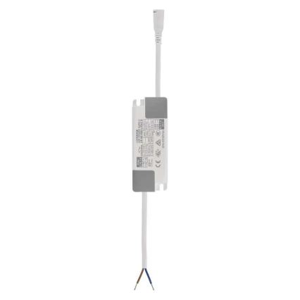 LED alaslaskupaneeli DIXXO LED/36W/230V 4000K 60x60 cm valkoinen