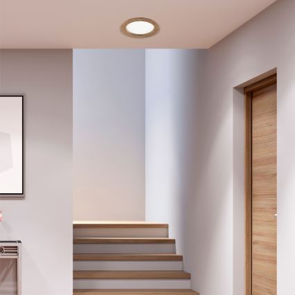 LED Kattovalaisin WOODY SPOT LED/16,5W/230V 4000K pähkinä Ø 18,5 cm