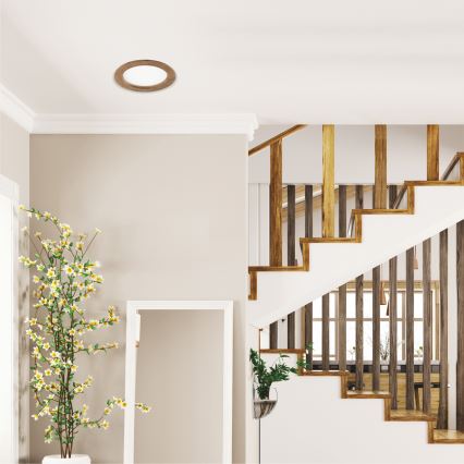 LED Kattovalaisin WOODY SPOT LED/16,5W/230V 4000K pähkinä Ø 18,5 cm