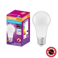 LED Antibakteerinen polttimo A100 E27/13W/230V 6500K - Osram