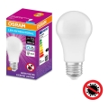 LED Antibakteerinen polttimo A75 E27/10W/230V 6500K - Osram