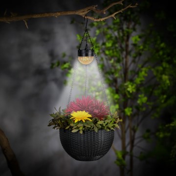 LED-aurinkokennavalo kukkaruukulla, LED/1,2 V 400 mAh, IP44, musta