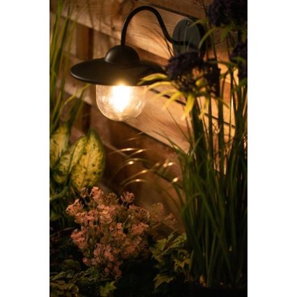 LED-aurinkokenno seinävalaisin DALI LED / 1,2V IP44