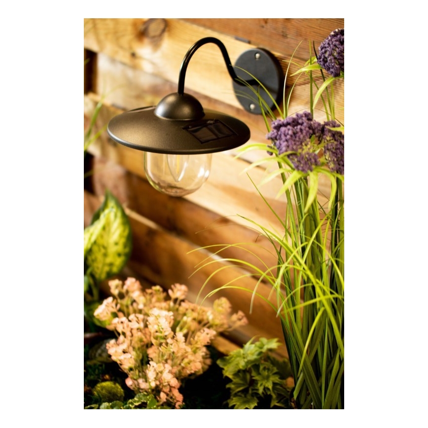 LED-aurinkokenno seinävalaisin DALI LED / 1,2V IP44