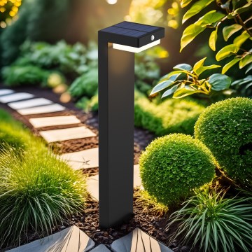 LED aurinkokennovalo liiketunnistimella ja hämäräkytkimellä PALERMO LED/5W/5V 2000 mAh IP54 musta