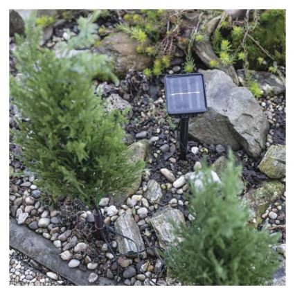 LED-aurinkokoriste 50xLED/3W/1,2V 600 mAh IP44