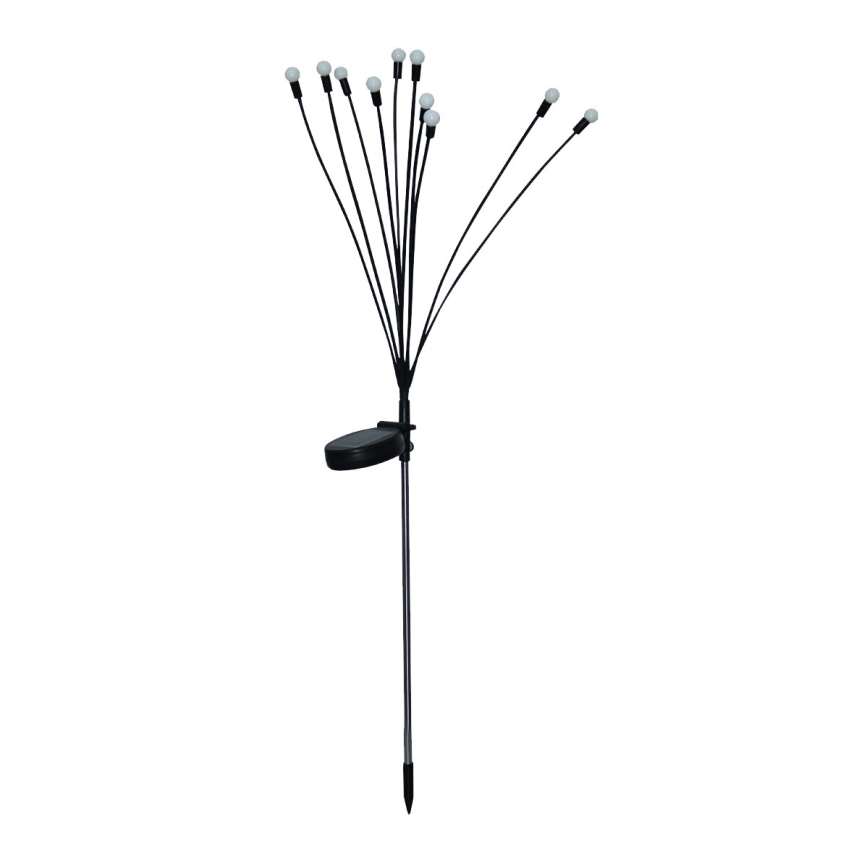 LED aurinkokäyttöinen koristevalaisin 10xLED/1,2V 3000K 73 cm 600 mAh IP44