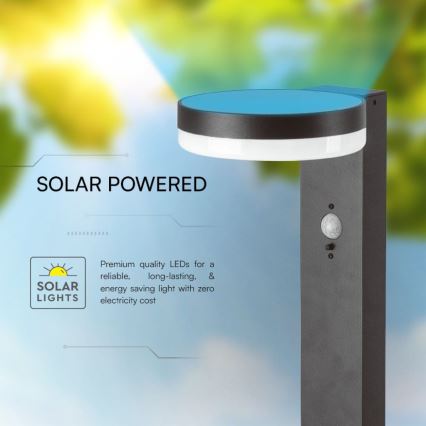 LED-aurinkolamppu anturilla LED/2W/3,7V IP54 3000K 2200 mAh pyöreä musta