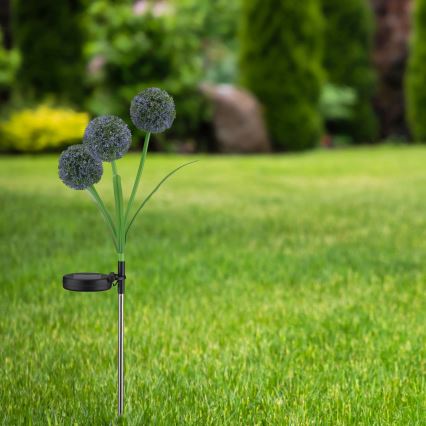 LED-aurinkovalaistus ALLIUM LED/1,2V 6500K 600 mAh IP44 musta