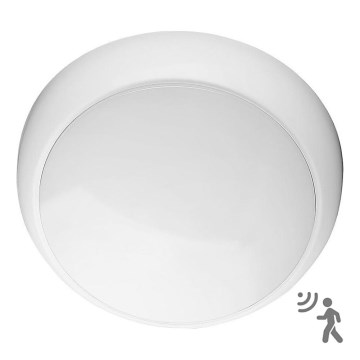 LED Hätäkattovalaisin anturilla LED/8W/16W/20W/230V IP65 3000/4000/6500K
