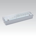LED-hätävalaisin CARLA LED/5,51W/230V 1h/900 mAh IP65