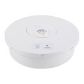 LED Hätävalaisin LED/2W/230V 6000K IP65 3200 mAh