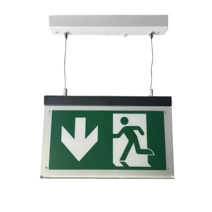 LED Hätävalaisin LED/4W/230V 6000K 1000 mAh