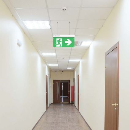 LED-hätävalo EMERGENCY EXIT LED/2,5W/230V 4in1 6000K
