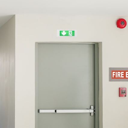 LED Hätävalo EMERGENCY EXIT SAMSUNG CHIP LED/3,8W/230V 6000K