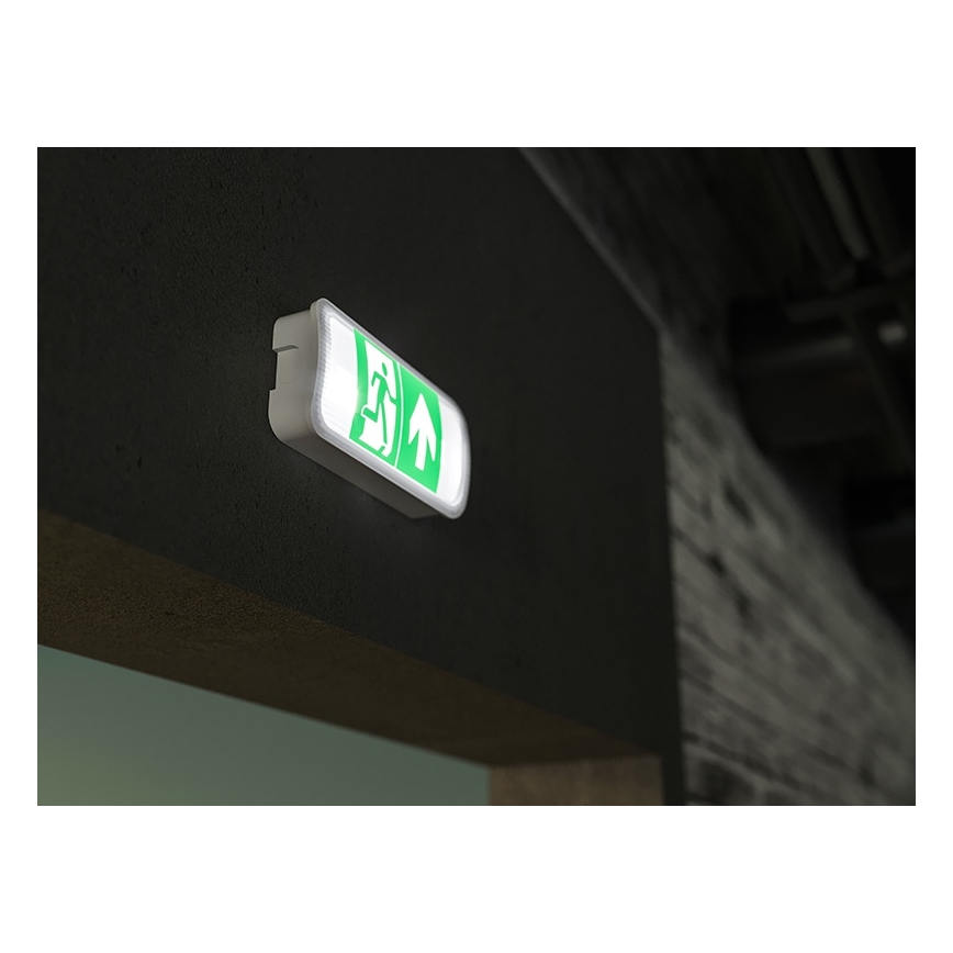 LED-hätävalo VIRGO EVO LED/1W/230V 6000K IP65