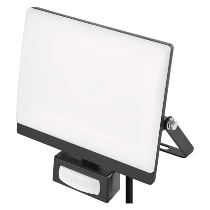 LED-valonheitin liike- ja hämäräanturilla TAMBO EVO LED/30W/230V 4000K IP44 musta
