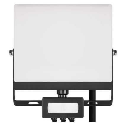 LED-valonheitin liike- ja hämäräanturilla TAMBO EVO LED/30W/230V 4000K IP44 musta