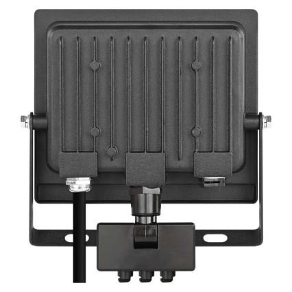 LED-valonheitin liike- ja hämäräanturilla TAMBO EVO LED/30W/230V 4000K IP44 musta