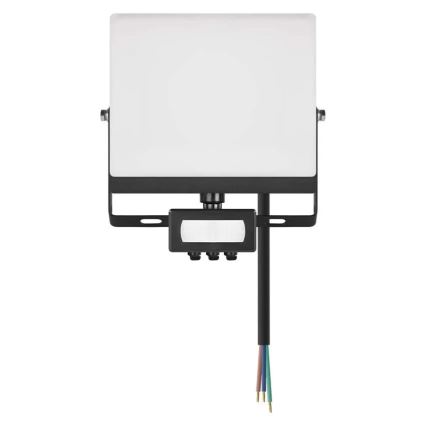 LED-valonheitin liike- ja hämäräanturilla TAMBO EVO LED/30W/230V 4000K IP44 musta