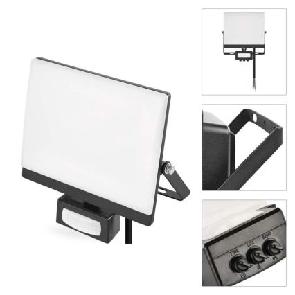LED-valonheitin liike- ja hämäräanturilla TAMBO EVO LED/30W/230V 4000K IP44 musta