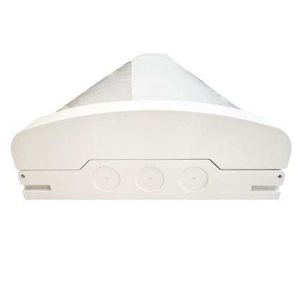 LED Himmennettävä fluoresoiva kevyt LED/35W/44W/52W/60W/230V 4000K 120 cm