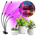 LED himmennettävä joustava pöytävalaisin kasvien kasvatukseen, klipsillä VITARO 4xLED/10W/230V musta
