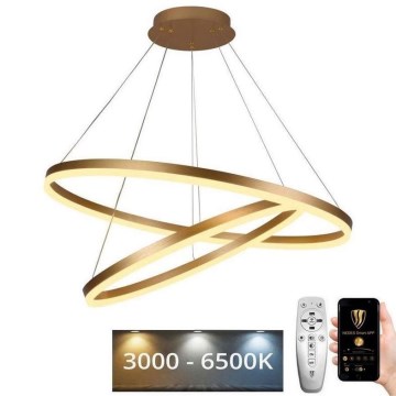 LED himmennettävä kattokruunu johdolla LED/100W/230V 3000-6500K halkaisija 80 cm + kaukosäädin