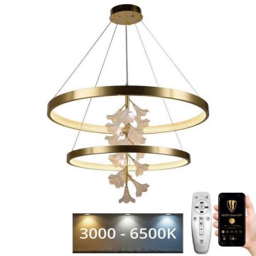 LED himmennettävä kattokruunu johdolla LED/100W/230V 3000-6500K + kaukosäädin