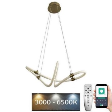 LED himmennettävä kattokruunu johdolla LED/25W/230V 3000-6500K + kaukosäädin