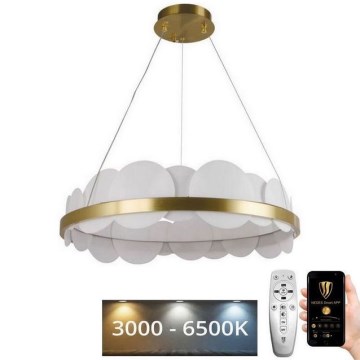 LED himmennettävä kattokruunu johdolla LED/40W/230V 3000-6500K kulta + kaukosäädin