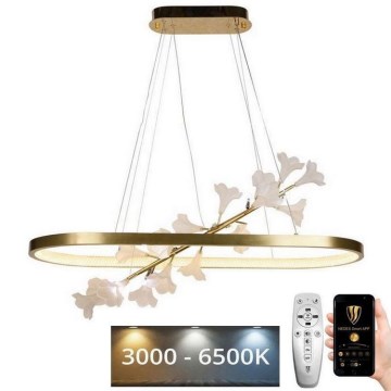 LED himmennettävä kattokruunu johdolla LED/65W/230V 3000-6500K + kaukosäädin