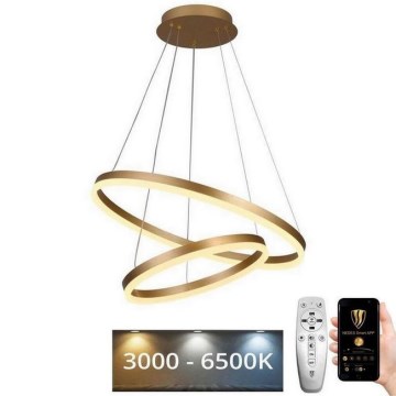 LED himmennettävä kattokruunu johdolla LED/70W/230V 3000-6500K halkaisija 60 cm + kaukosäädin