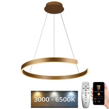 LED himmennettävä kattokruunu johdolla LED/70W/230V 3000-6500K halkaisija 60 cm + kaukosäädin