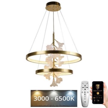 LED himmennettävä kattokruunu johdolla LED/70W/230V 3000-6500K + kaukosäädin