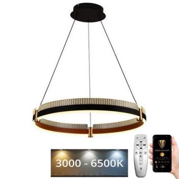 LED himmennettävä kattokruunu johdolla LED/80W/230V 3000-6500K halkaisija 60 cm + kaukosäädin