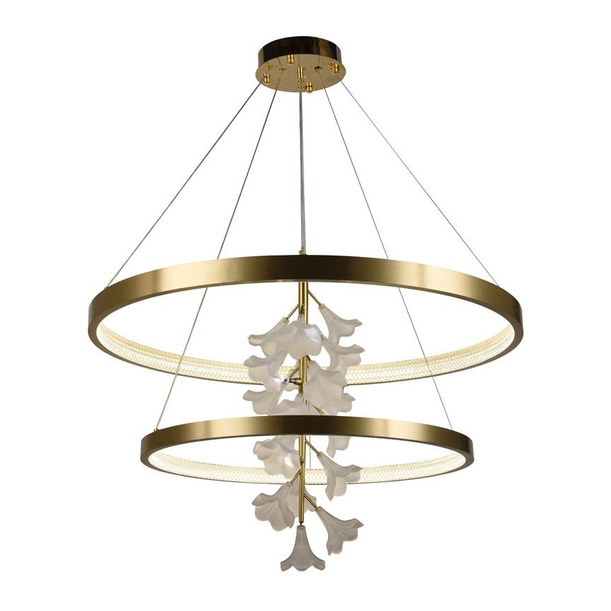 LED himmennettävä kattokruunu johdolla LED/100W/230V 3000-6500K + kaukosäädin