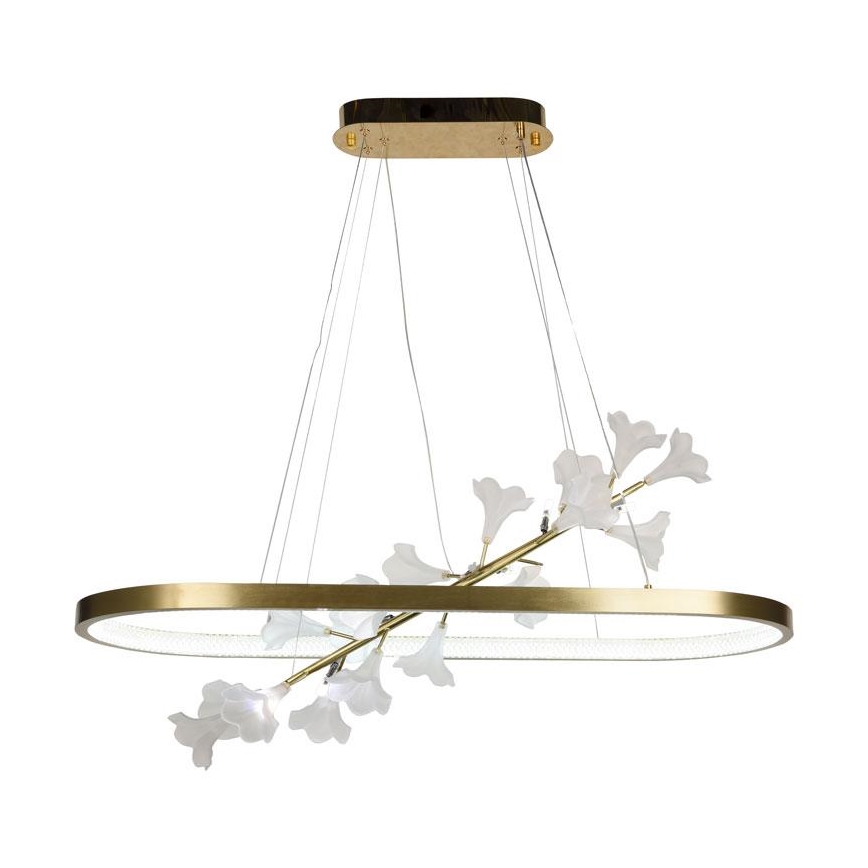 LED himmennettävä kattokruunu johdolla LED/65W/230V 3000-6500K + kaukosäädin