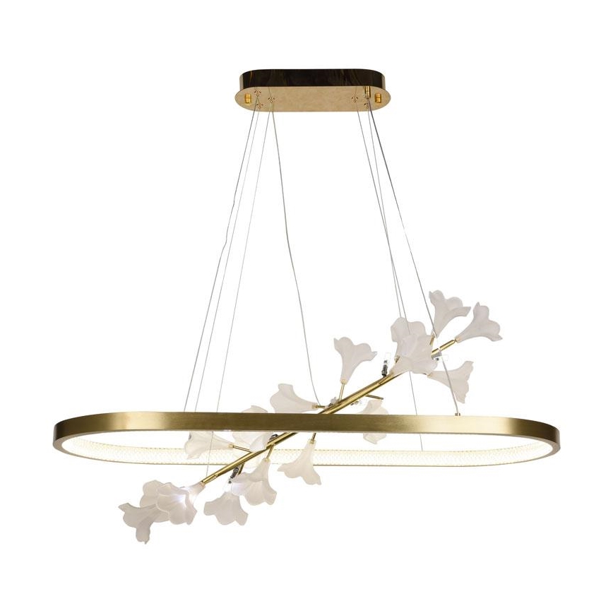 LED himmennettävä kattokruunu johdolla LED/65W/230V 3000-6500K + kaukosäädin